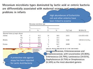 Gosalbes M.J. CEA 2013;43:198
Two distinct types of microbiota composition
can be detected in meconium samples.
Type A - The family Enterobacteriaceae as the
most abundant bacterial taxon (58.69%),
mainly represented by the Escherichia/Shigella
genus (24.68%).
Type B – presents Firmicutes, and particularly
Lactic Acid Bacteria of the families
Leuconostocaceae, Enterococcaceae and
Streptococcaceae, with Leuconostoc (25.86%),
Enterococcus (16.79%), Lactococcus (14.01%),
Staphylococcus (6.75%) or Streptococcus
(6.34%) as the most abundant genera
High abundances of Escherichia
coli and other enterics have
been linked to eczema
A protective role against
atopy has been reported
for Lactic Acid Bacteria
 