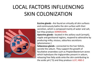 LOCAL FACTORS INFLUENCING
SKIN COLONIZATION
Eccrine glands - Are found on virtually all skin surfaces
and continuously bathe the skin surface with their
secretion, which is composed mainly of water and salt,
but they produce DERMICIDIN.
Apocrine glands - located in the axillary vault (armpit),
nipple and genitoanal regions, respond to adrenaline by
producing milky, viscous, odourless secretions
(pheromones )
Sebaceous glands - connected to the hair follicle,
secrete the sebum. They support the growth of
facultative anaerobes such as Propionibacterium acnes
which hydrolyses the triglycerides present in sebum,
releasing free fatty acids onto the skin contributing to
the acidic pH (~5) and they produce LL37, HBD-2
 