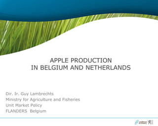 APPLE PRODUCTION
            IN BELGIUM AND NETHERLANDS



Dir. Ir. Guy Lambrechts
Ministry for Agriculture and Fisheries
Unit Market Policy
FLANDERS Belgium
 