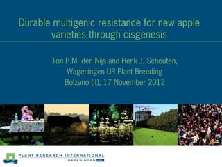 Durable multigenic resistance for new apple
       varieties through cisgenesis

       Ton P.M. den Nijs and Henk J. Schouten,
            Wageningen UR Plant Breeding
           Bolzano (It), 17 November 2012
 