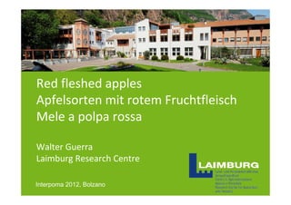 Red fleshed apples
Apfelsorten mit rotem Fruchtfleisch
Mele a polpa rossa

Walter Guerra
Laimburg Research Centre

Interpoma 2012, Bolzano
05.11.2012                            1
                                          1
 