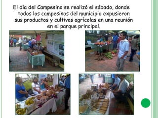 El día del Campesino se realizó el sábado, donde
todos los campesinos del municipio expusieron
sus productos y cultivos agrícolas en una reunión
en el parque principal.

 