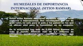 Convención de RAMSAR 1971 | PPTX