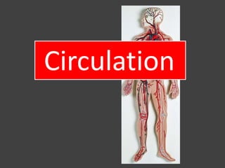 Circulation
 