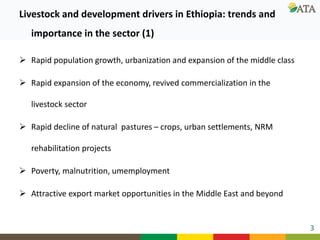 Livestock in the wider agriculture and development context in Ethiopia: Relevant public conversations and contexts 