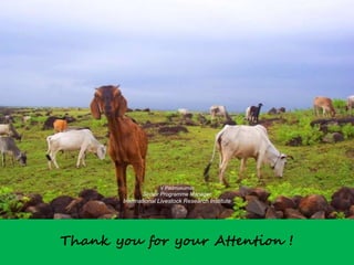 Livestock advocacy and communications—India scene 