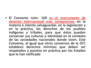 • El Convenio núm. 169 es el instrumento de
derecho internacional más comprensivo en la
materia e intenta salvaguardar, en la legislación y
en la práctica, los derechos de los pueblos
indígenas y tribales, para que éstos puedan
conservar sus culturas e identidad en el contexto
de las sociedades nacionales donde viven. Este
Convenio, al igual que otros convenios de la OIT,
establece derechos mínimos que deben ser
respetados y puestos en práctica por los Estados
que lo han ratificado
 