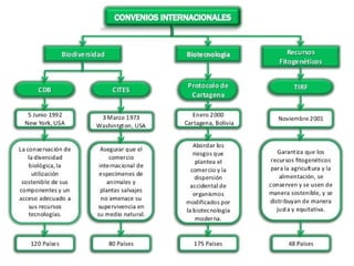 Convenios Internacionales Medio Ambiente
