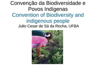 Convenção da Biodiversidade e
Povos Indígenas
Convention of Biodiversity and
indigenous people
Julio Cesar de Sá da Rocha, UFBA
 