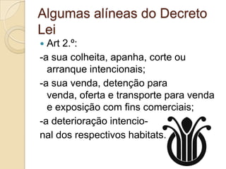 Algumas alíneas do Decreto
Lei
 Art 2.º:
-a sua colheita, apanha, corte ou
  arranque intencionais;
-a sua venda, detenção para
  venda, oferta e transporte para venda
  e exposição com fins comerciais;
-a deterioração intencio-
nal dos respectivos habitats.
 