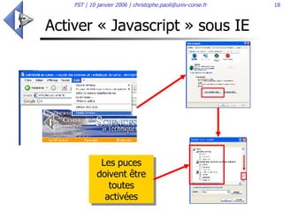 Activer « Javascript » sous IE Les puces doivent être toutes activées 