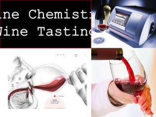 Wine Chemistry 
Wine Tasting 
 