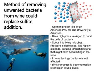 Method of removing 
unwanted bacteria 
from wine could 
replace sulfite 
addition. 
By W. Blake Gray 
• German project led by an 
American PhD for The University of 
Arkansas. 
• Uses high pressure Argon to burst 
the cells of bacteria 
• Seeps into living microbes. 
Pressure is decreased, gas rapidly 
expands, bursting through bacteria 
that might have been hiding in the 
wine. 
• In wine tastings the taste is not 
affected. 
• similar process to decompression 
sickness in scuba divers. 
 