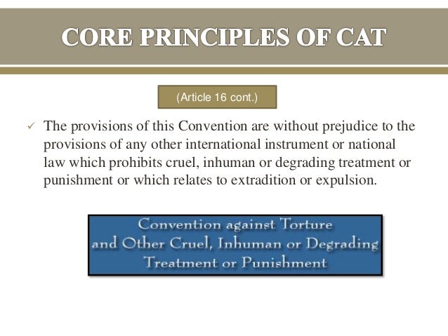 essays against torture essays against torture