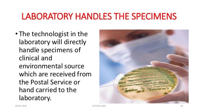 CONVENTIONAL MICROBIOLOGICAL TECHNIQUES