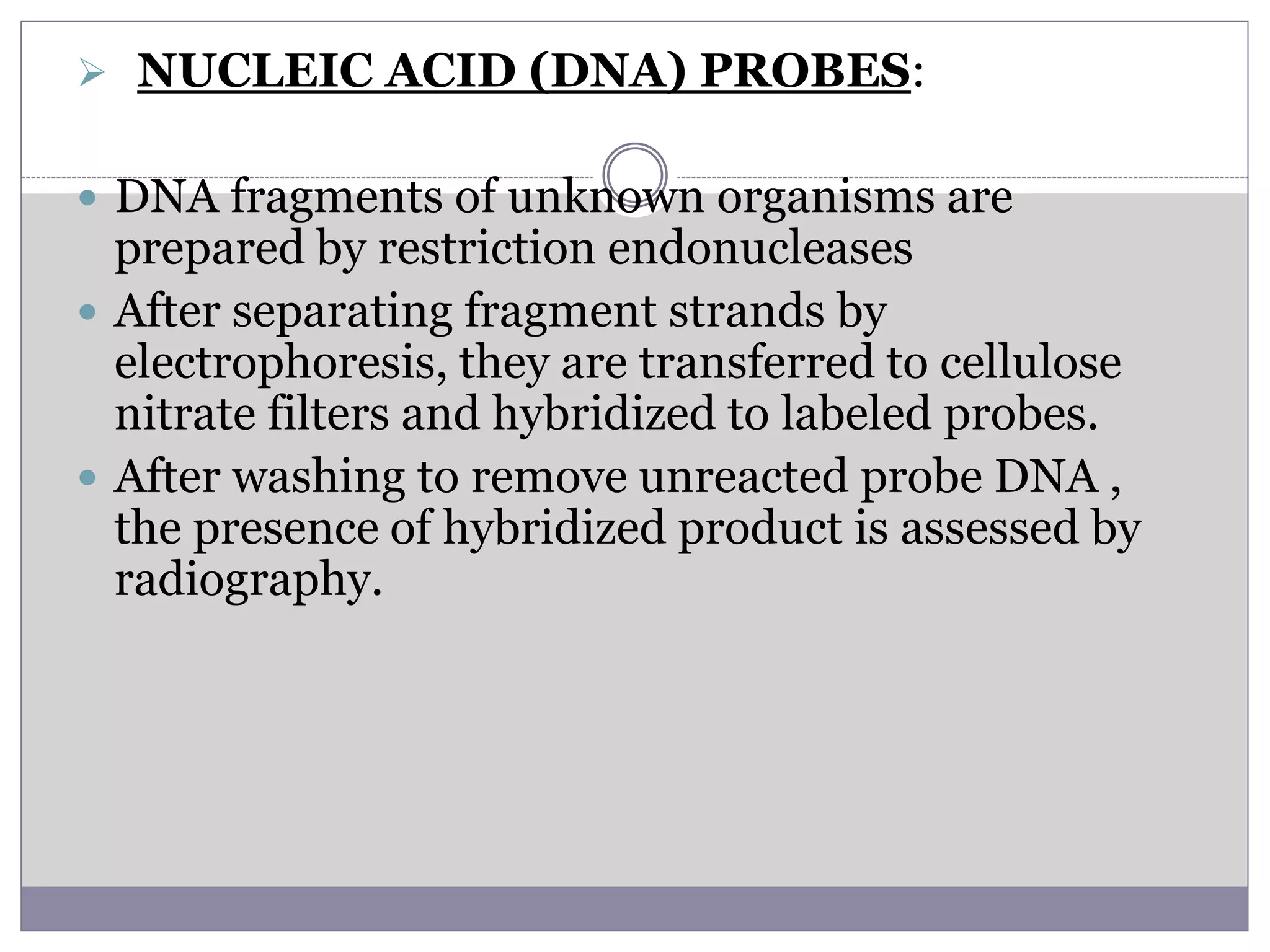  NUCLEIC ACID (DNA) PROBES:
 DNA fragments of unknown organisms are
prepared by restriction endonucleases
 After separating fragment strands by
electrophoresis, they are transferred to cellulose
nitrate filters and hybridized to labeled probes.
 After washing to remove unreacted probe DNA ,
the presence of hybridized product is assessed by
radiography.
 