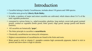 Introduction
• Cucurbits belong to family Cucurbitaceae, includes about 118 genera and 1000 species.
• Cucurbits term given by Liberty Hyde Bailey.
• In India, a numbers of major and minor cucurbits are cultivated, which shares about 5.6 % of the
total vegetable production.
• consumed in various forms i.e., salad (cucumber, gherkins, long melon), sweet (ash gourd, pointed
gourd), cooked as vegetable (bottle gourd, bitter gourd, ridge gourd, sponge gourd) and deserts
(melons).
• All cucurbits are botanically ‘pepo’.
• The bitter principle in cucurbits is cucurbitacin.
• Chemically cucurbitacins are tetracyclic triterpenes.
• Highest concentrations of cucurbitacins are found in the fruits and roots.
• Bitter gourd is rich in vitamin C, pumpkin contains high carotenoids pigments, kakrol is rich in
protein and chow-chow is high in calcium.
 