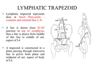 LYMPHATIC TRAPEZOID
• Lymphatic trapezoid represents
dose at lower Para-aortic ,
common and external iliac L.N.
• A line is drawn from S1-S2
junction to top of symphysis,
then a line is drawn from middle
of this line to middle of ant.
aspect of L4
• A trapezoid is constructed in a
plane passing through transverse
line in pelvic brim plane and
midpoint of ant. aspect of body
of L4
 