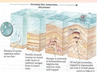 rajneeshkumar146@gmail.com
 