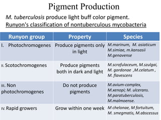 Conventional lab diagnosis of tb | PPTX