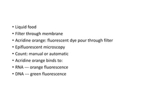 • Liquid food
• Filter through membrane
• Acridine orange: fluorescent dye pour through filter
• Epifluorescent microscopy
• Count: manual or automatic
• Acridine orange binds to:
• RNA --- orange fluorescence
• DNA --- green fluorescence
 