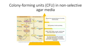 Colony-forming units (CFU) in non-selective
agar media
Aliquots form selected dilutions of a serially
diluted sample
Bulk seeding or Surface spreading
Media- GYEA, tryptic soy agar, nutrient agar,
brain-heart infusion agar, and others.
For various groups Aerobic mesophile,
anaerobes, thermoduric, thermophile,
psychrophile, psychrotrophic & facultative
anaerobes
 