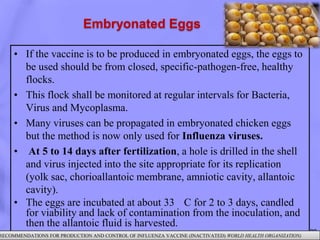 Conventional methods of animal vaccine production
