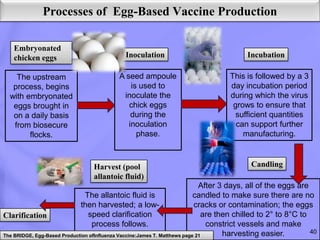 Conventional methods of animal vaccine production