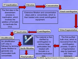 Conventional methods of animal vaccine production