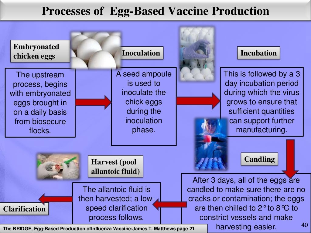 Conventional methods of animal vaccine production