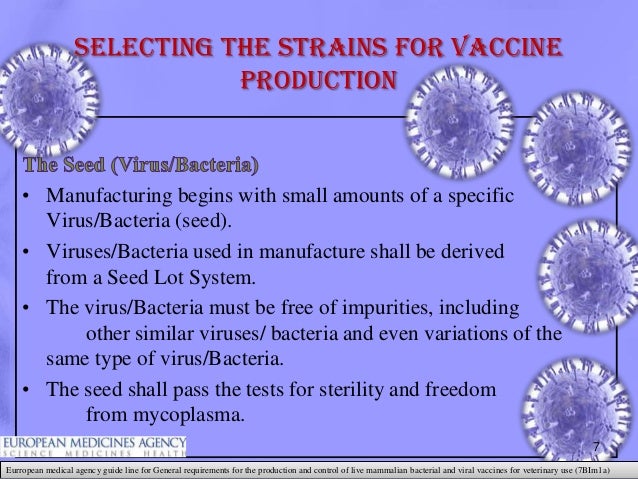 Conventional methods of animal vaccine production