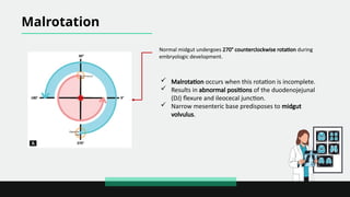 Clockwise Mesenter Rotation Normal Conventional Radiography in Pediatric Gastrointestinal Imaging An ...