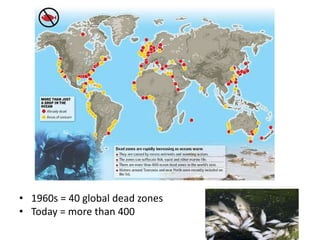 • 1960s = 40 global dead zones
• Today = more than 400
 