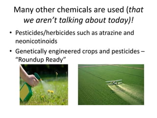 Many other chemicals are used (that
we aren’t talking about today)!
• Pesticides/herbicides such as atrazine and
neonicotinoids
• Genetically engineered crops and pesticides –
“Roundup Ready”
 