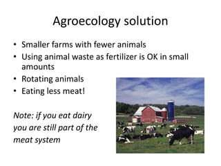 Agroecology solution
• Smaller farms with fewer animals
• Using animal waste as fertilizer is OK in small
amounts
• Rotating animals
• Eating less meat!
Note: if you eat dairy
you are still part of the
meat system
 