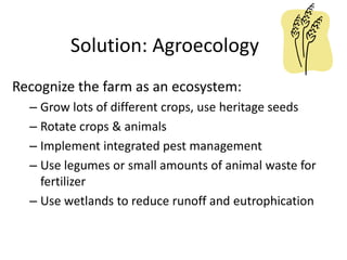Solution: Agroecology
Recognize the farm as an ecosystem:
– Grow lots of different crops, use heritage seeds
– Rotate crops & animals
– Implement integrated pest management
– Use legumes or small amounts of animal waste for
fertilizer
– Use wetlands to reduce runoff and eutrophication
 