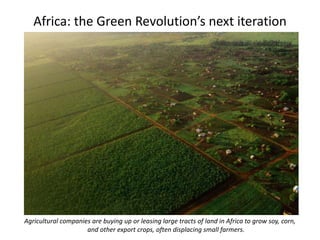 Africa: the Green Revolution’s next iteration
Agricultural companies are buying up or leasing large tracts of land in Africa to grow soy, corn,
and other export crops, often displacing small farmers.
 