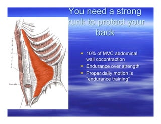 You need a strong
trunk to protect your
        back

     10% of MVC abdominal
      wall cocontraction
     Endurance over strength
     Proper daily motion is
      “endurance training”
 