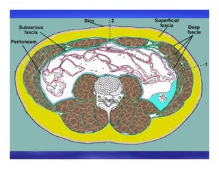 Convention versus Evidence