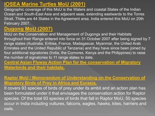 IOSEA Marine Turtles MoU (2001)
Geographic coverage of this MoU is the Waters and coastal States of the Indian
Ocean and South-East Asia and adjacent seas, extending eastwards to the Torres
Strait. There are 44 States in the Agreement area. India entered this MoU on 20th
February 2007.
Dugong MoU (2007)
MoU on the Conservation and Management of Dugongs and their Habitats
throughout their Range entered into force on 31 October 2007 after being signed by 7
range states (Australia, Eritrea, France, Madagascar, Myanmar, the United Arab
Emirates and the United Republic of Tanzania) and they have since been joined by
four additional signatories (India, the Comores, Kenya and the Philippines) to raise
the number of signatories to 11 range states to date.
Central Asian Flyway Action Plan for the conservation of Migratory
Waterbirds and their habitats.
Raptor MoU / Memorandum of Understanding on the Conservation of
Migratory Birds of Prey in Africa and Eurasia.
It covers 93 species of birds of prey under its ambit and an action plan has
been formulated under it that envisages the conservation action for Raptor
species. Of the total 93 species of birds that fall in Raptor MoU, 50 species
occur in India including vultures, falcons, eagles, hawks, kites, harriers and
owls.
 