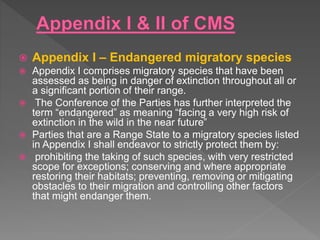  Appendix I – Endangered migratory species
 Appendix I comprises migratory species that have been
assessed as being in danger of extinction throughout all or
a significant portion of their range.
 The Conference of the Parties has further interpreted the
term “endangered” as meaning “facing a very high risk of
extinction in the wild in the near future”
 Parties that are a Range State to a migratory species listed
in Appendix I shall endeavor to strictly protect them by:
 prohibiting the taking of such species, with very restricted
scope for exceptions; conserving and where appropriate
restoring their habitats; preventing, removing or mitigating
obstacles to their migration and controlling other factors
that might endanger them.
 