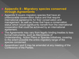  Appendix II - Migratory species conserved
through Agreements
 Appendix II covers migratory species that have an
unfavourable conservation status and that require
international agreements for their conservation and
management, as well as those that have a conservation
status which would significantly benefit from the international
cooperation that could be achieved by an international
agreement.
 The Agreements may vary from legally binding treaties to less
formal instruments, such as Memoranda of
Understanding, Action Plans or Species Initiatives, covering
to the extent possible the entire migratory range of the
species concerned.
 Appendices I and II may be amended at any meeting of the
Conference of the Parties.
 