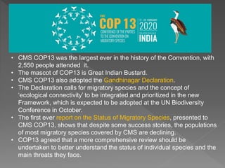 • CMS COP13 was the largest ever in the history of the Convention, with
2,550 people attended it.
• The mascot of COP13 is Great Indian Bustard.
• CMS COP13 also adopted the Gandhinagar Declaration.
• The Declaration calls for migratory species and the concept of
‘ecological connectivity’ to be integrated and prioritized in the new
Framework, which is expected to be adopted at the UN Biodiversity
Conference in October.
• The first ever report on the Status of Migratory Species, presented to
CMS COP13, shows that despite some success stories, the populations
of most migratory species covered by CMS are declining.
• COP13 agreed that a more comprehensive review should be
undertaken to better understand the status of individual species and the
main threats they face.
 