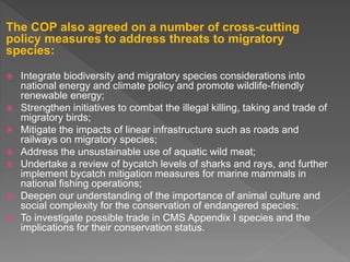 The COP also agreed on a number of cross-cutting
policy measures to address threats to migratory
species:
 Integrate biodiversity and migratory species considerations into
national energy and climate policy and promote wildlife-friendly
renewable energy;
 Strengthen initiatives to combat the illegal killing, taking and trade of
migratory birds;
 Mitigate the impacts of linear infrastructure such as roads and
railways on migratory species;
 Address the unsustainable use of aquatic wild meat;
 Undertake a review of bycatch levels of sharks and rays, and further
implement bycatch mitigation measures for marine mammals in
national fishing operations;
 Deepen our understanding of the importance of animal culture and
social complexity for the conservation of endangered species;
 To investigate possible trade in CMS Appendix I species and the
implications for their conservation status.
 