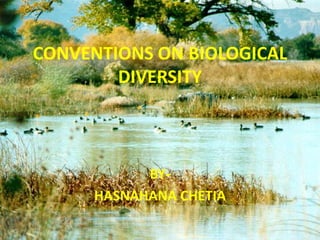CONVENTIONS ON BIOLOGICAL
DIVERSITY
BY-
HASNAHANA CHETIA
 