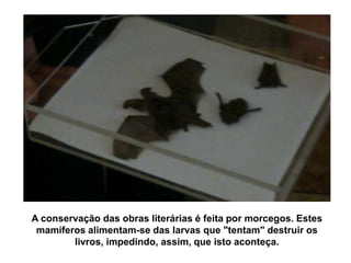 A conservação das obras literárias é feita por morcegos. Estes
 mamíferos alimentam-se das larvas que "tentam" destruir os
        livros, impedindo, assim, que isto aconteça.
 