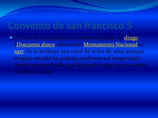 Convento de san francisco 5En Icod se encuentra un enorme ejemplar de drago (Dracaenadraco) declarado Monumento Nacional en 1917. Se le atribuye una edad de miles de años aunque ningún estudio ha podido confirmar tal longevidad, siendo más probable que la planta tenga unos cuantos cientos de años. 