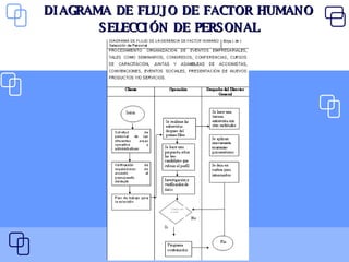 DIAGRAMA DE FLUJO DE FACTOR HUMANO SELECCIÓN DE PERSONAL 