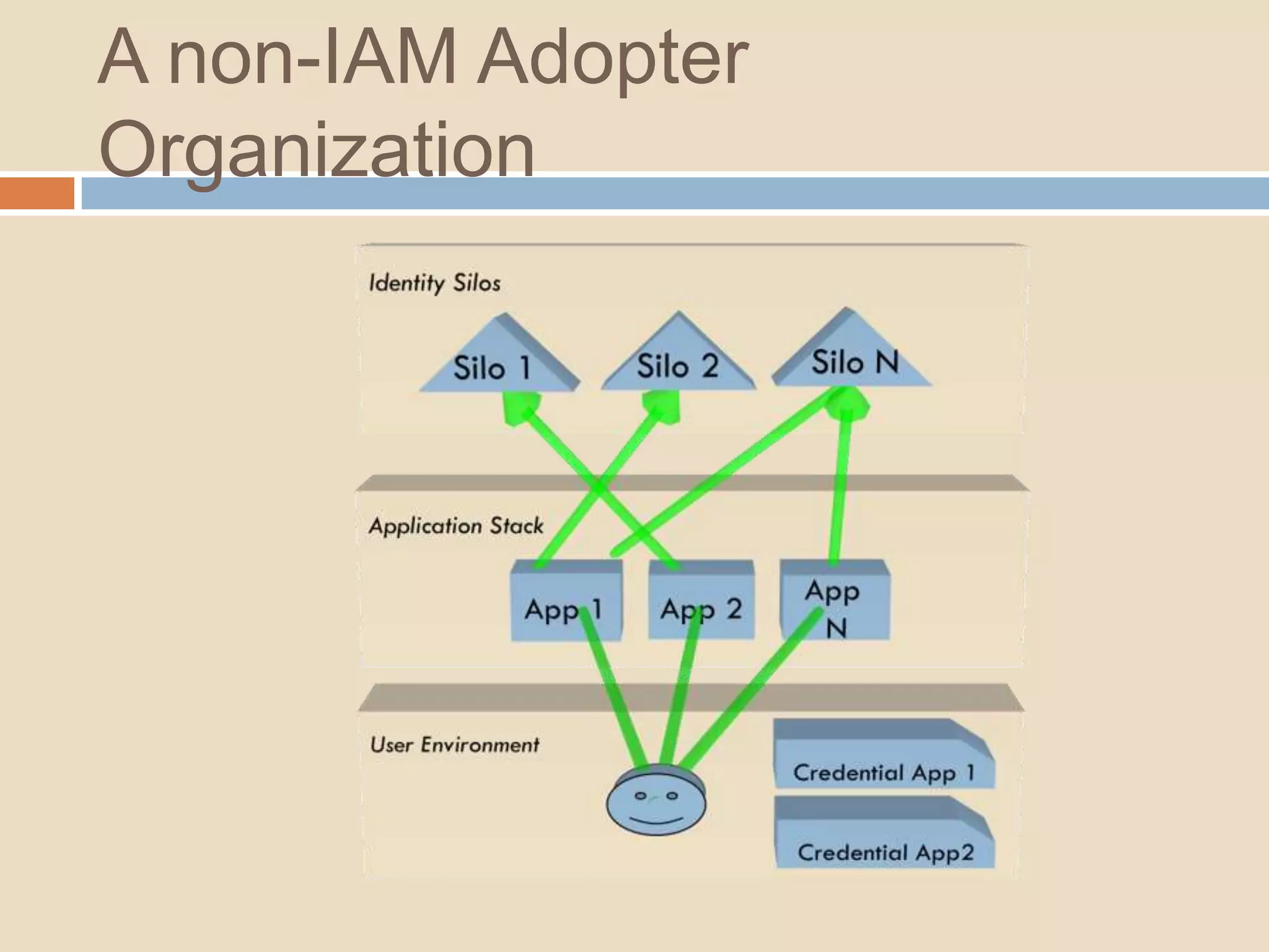 A non-IAM Adopter Organization 