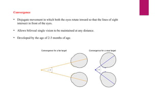 Convergence
• Disjugate movement in which both the eyes rotate inward so that the lines of sight
intersect in front of the eyes.
• Allows bifoveal single vision to be maintained at any distance.
• Developed by the age of 2-3 months of age.
 